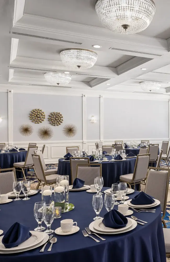 Saratoga-Reception