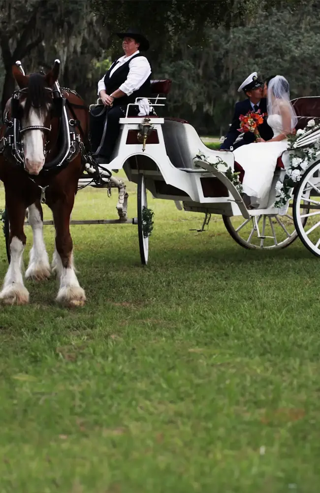 horse-wedding-ocala